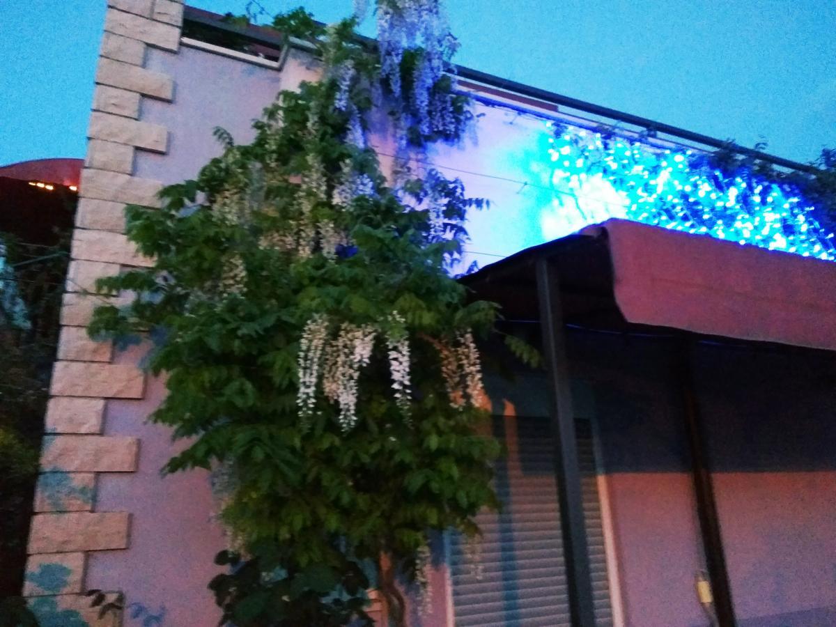 Aparthotel Viola Pjescana Uvala Exterior photo