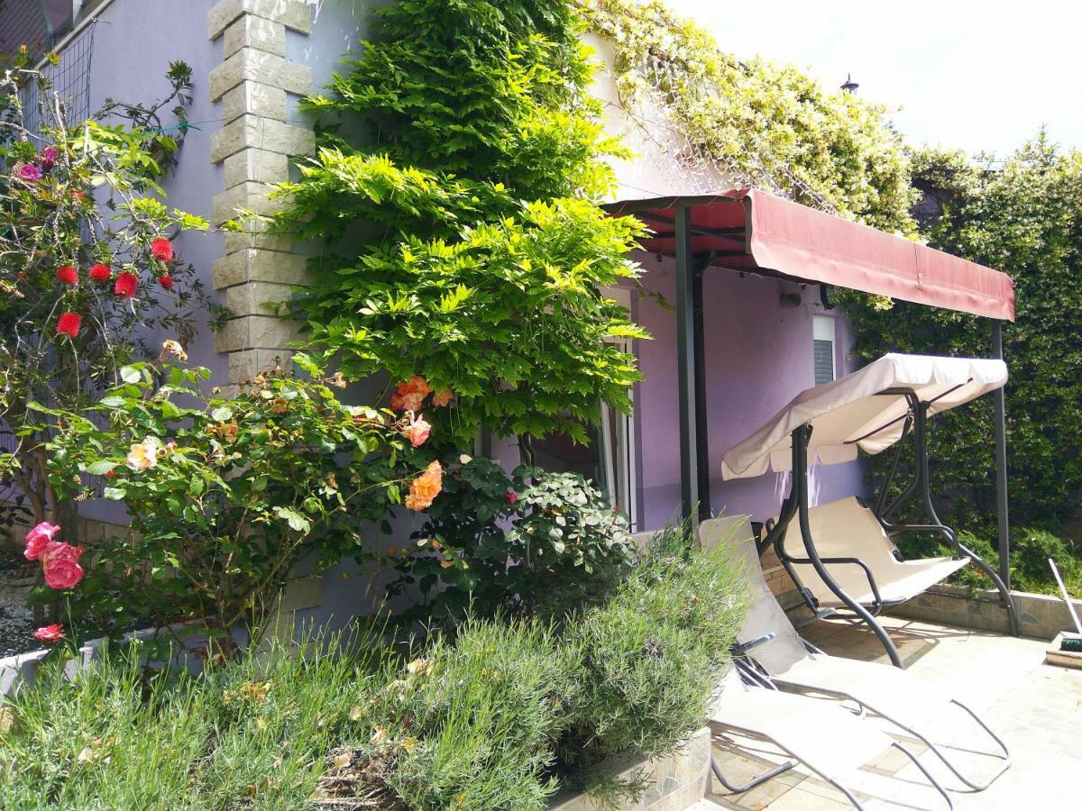 Aparthotel Viola Pjescana Uvala Exterior photo